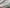 BENTLEY NEW CONTINENTAL GT FRONT BONNET WHITE