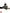 FERRARI 458 488 F8 STEERING GEAR