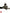 FERRARI 458 488 F8 STEERING GEAR STEERING BOX RACK PINION