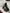 FERRARI ROMA / 985882872 - REAR HATCH - BOOT LID