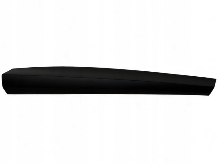 FERRARI PUROSANGUE FRONT DOOR PANEL TRIM