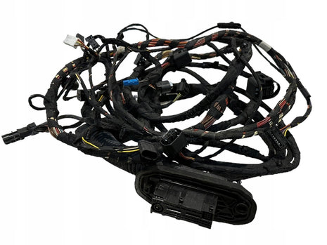 ROLLS ROYCE WRAITH DAWN DOOR HARNESS