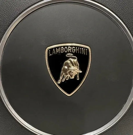 LAMBORGHINI GALLARDO AIRBAG CUSHION