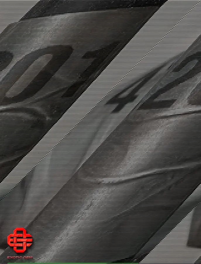 LAMBORGHINI AVENTADOR CENTENARIO FUEL COLLECTOR PIPE INJECTOR LH