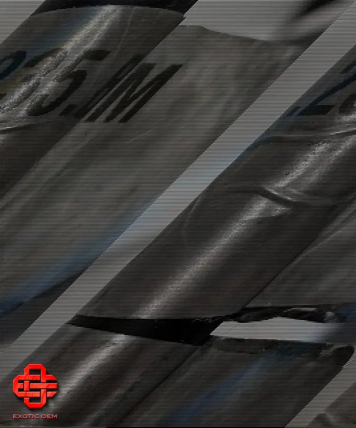 LAMBORGHINI AVENTADOR CENTENARIO FUEL COLLECTOR PIPE INJECTOR RH