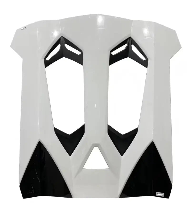 LAMBORGHINI AVENTADOR ROADSTER REAR ENGINE COVER, BONNET – EXOTIC OEM