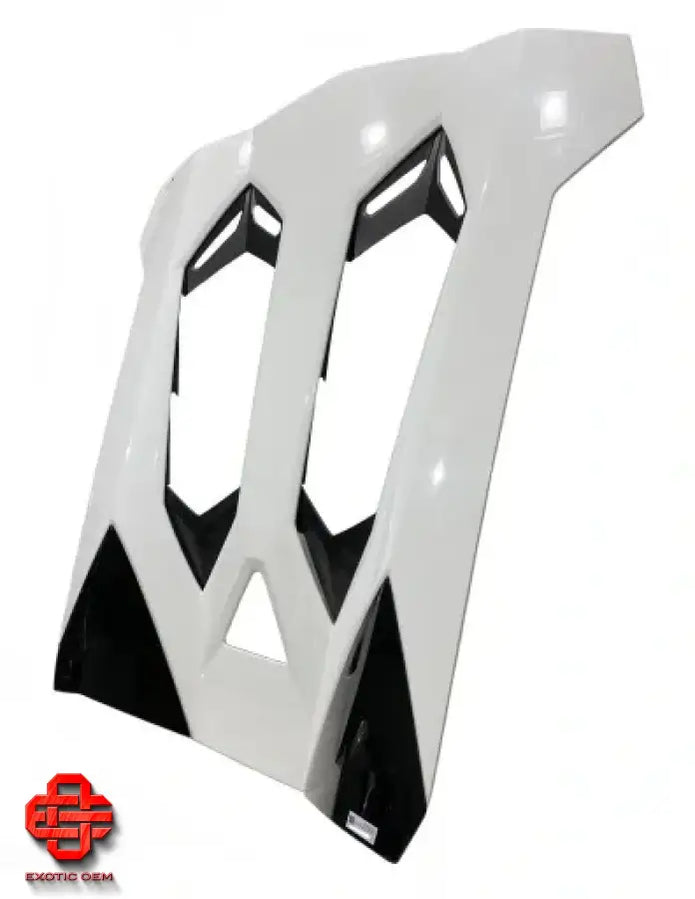 LAMBORGHINI AVENTADOR ROADSTER REAR HATCH HOOD