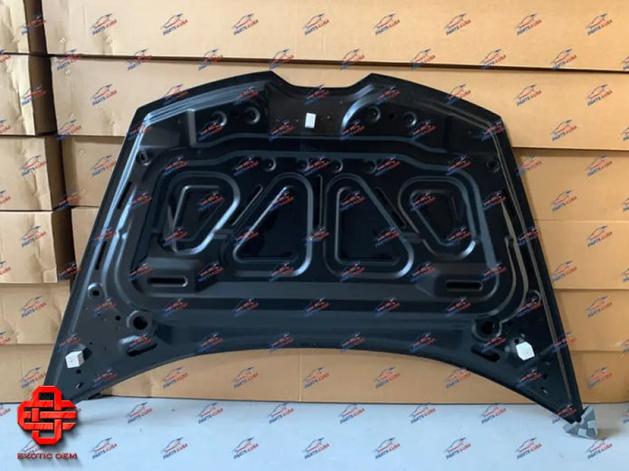 LAMBORGHINI HURACAN FRONT HOOD