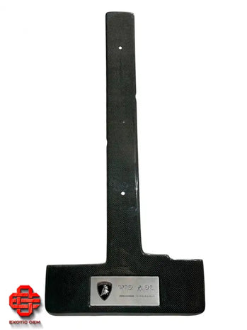 LAMBORGHINI MURCIELAGO COVER CARBON