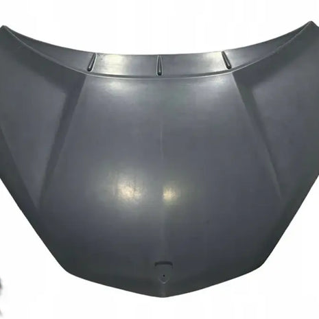 LAMBORGHINI REVUELTO FRONT HOOD OEM