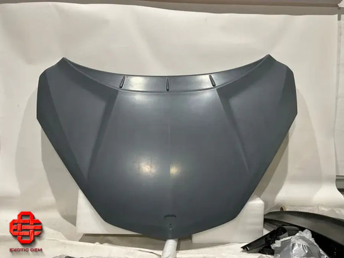 LAMBORGHINI REVUELTO FRONT HOOD OEM