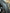 MASERATI GHIBLI - COMPLETE WHEEL SET / WHEELS WITH WINTER TYRES
