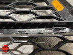 MERCEDES BENZ S CLASS W223 FRONT BUMPER GRILL SET