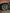 NEW CARBON WHEELS FERRARI 488 PISTA - NEW CARBON WHEELS ORIGINAL