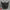 PORSCHE 991.1 GT3 CARBON FIBER FRONT HOOD OEM